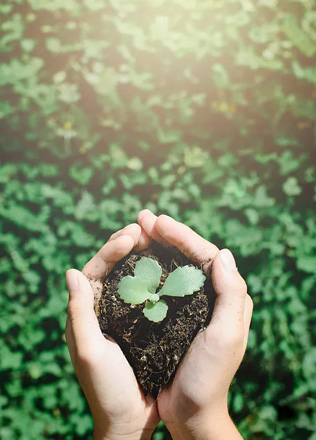 ������(�й���)���޹�˾����