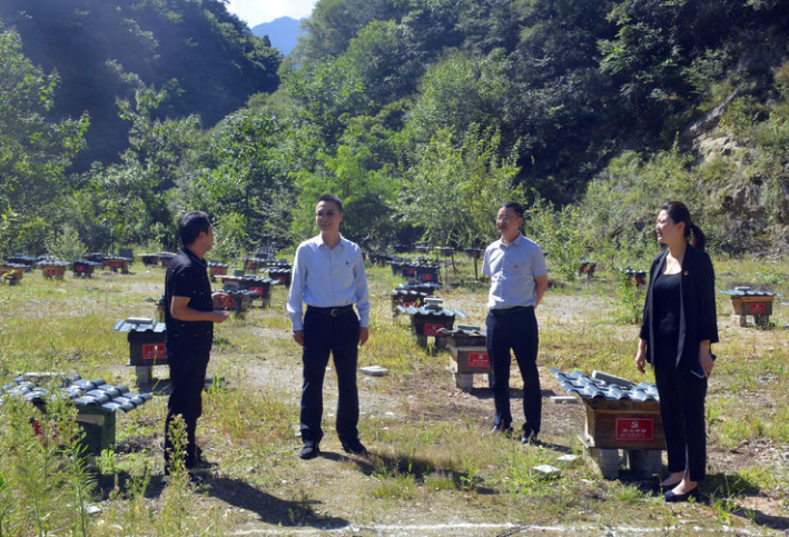 ������(�й���)���޹�˾����